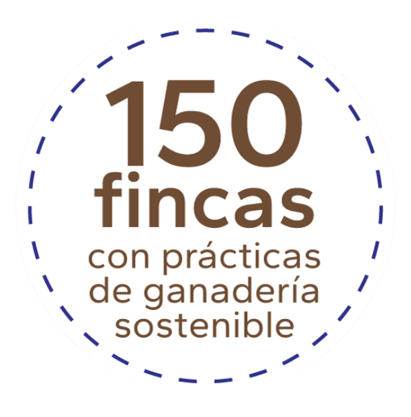 150fincas